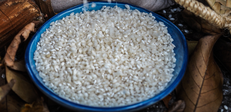 Rice, “White Pearls”